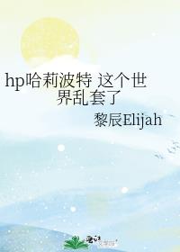 hp哈莉波特 这个世界乱套了