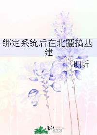 绑定系统后在北疆搞基建